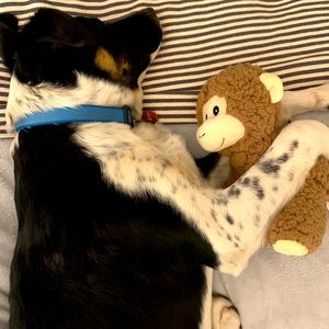 Meet your Posher, Beck